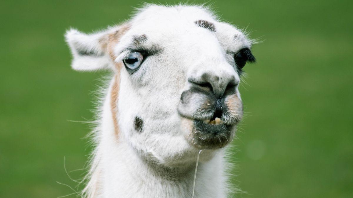 manfaat pinjaman online manfaat pinjaman online