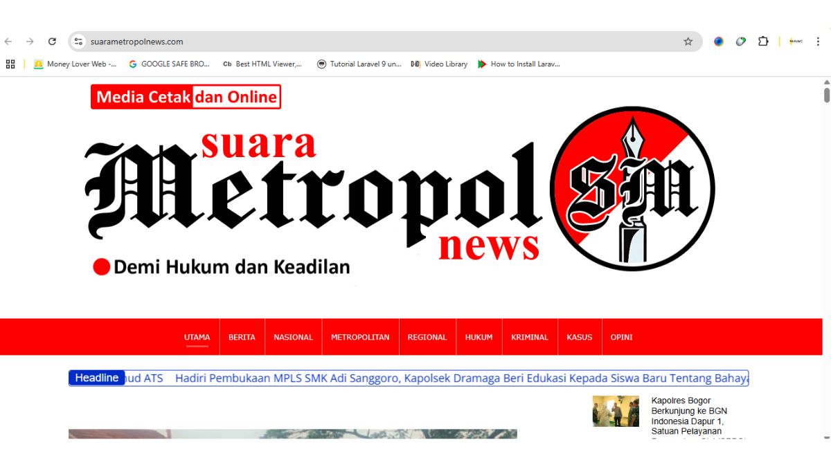 website media online